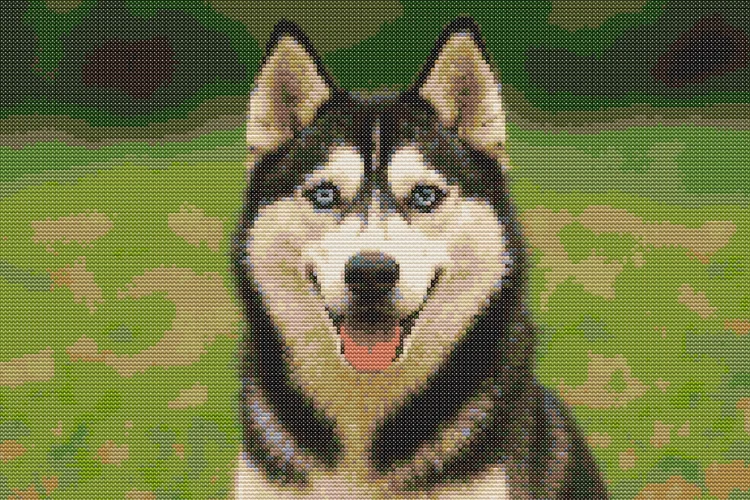 Схема вышивки Хаски